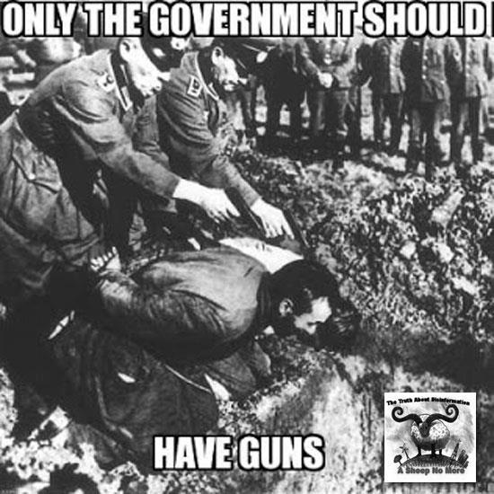 if only the government has guns